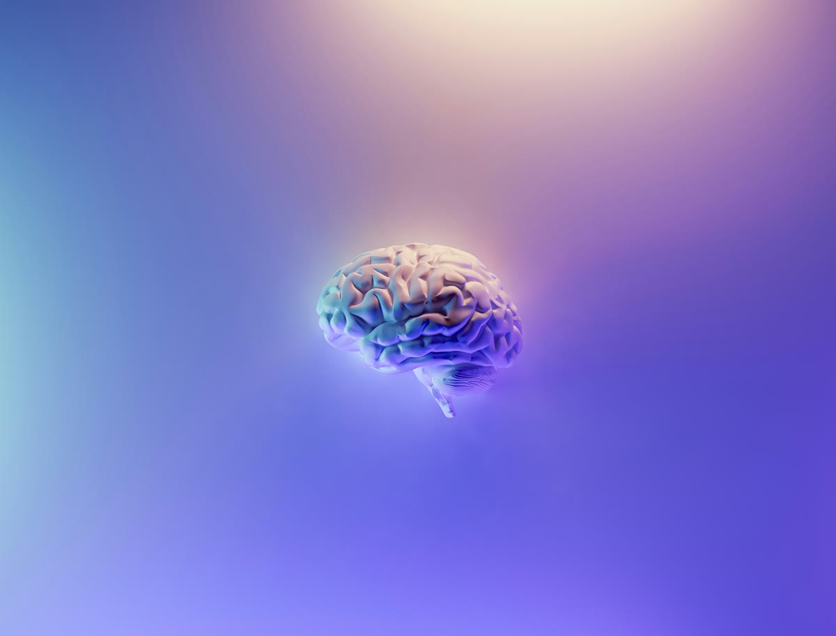 3D rendered brain with blue and purple gradient lighting